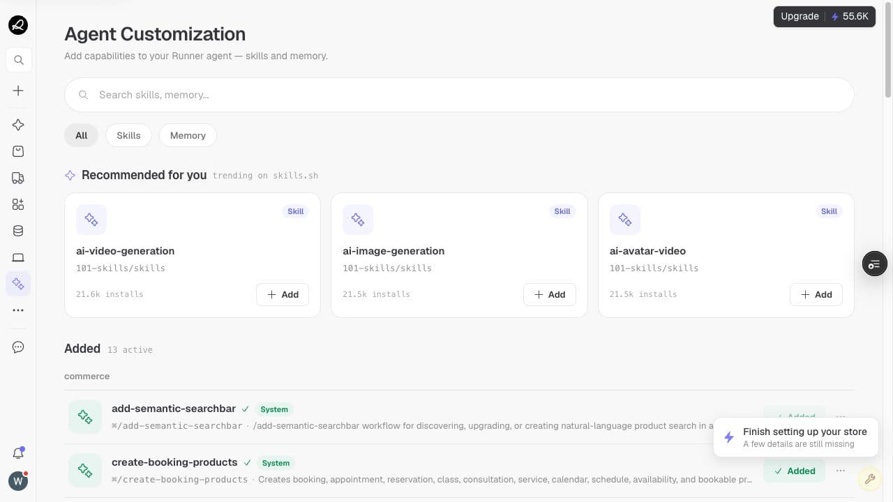 Runner Agent tools