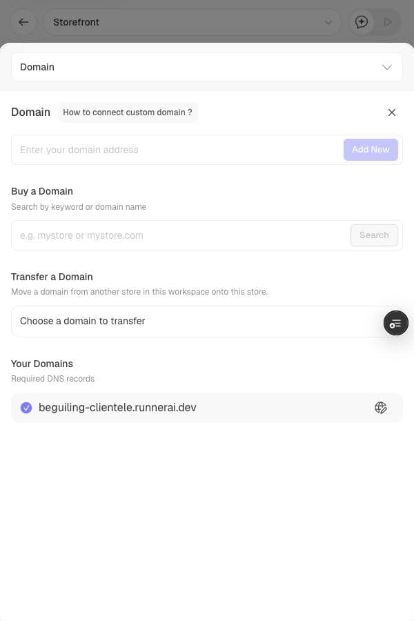 Runner domain settings